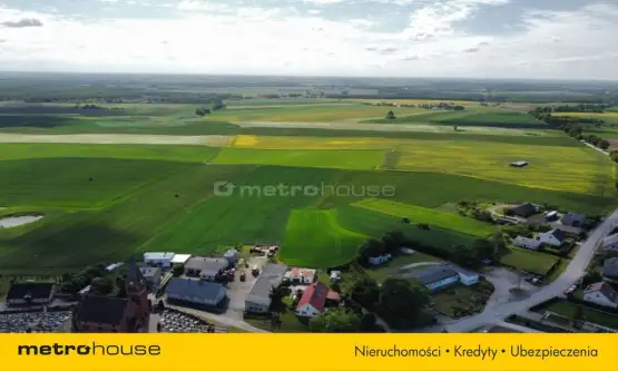 Dąbrówka ,  Przymuszewska   21