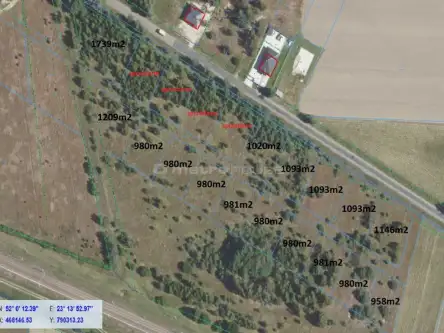 Czosnówka ,  Bialska   3