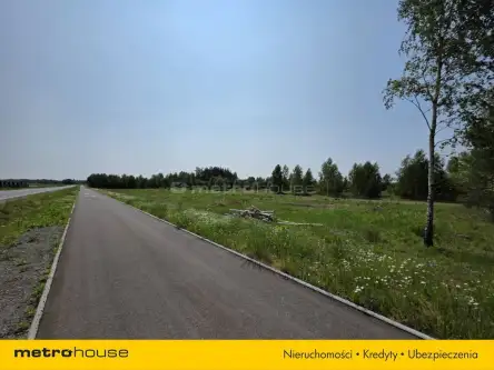 Czosnówka ,  Bialska   4