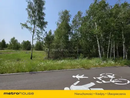 Czosnówka ,  Bialska   9