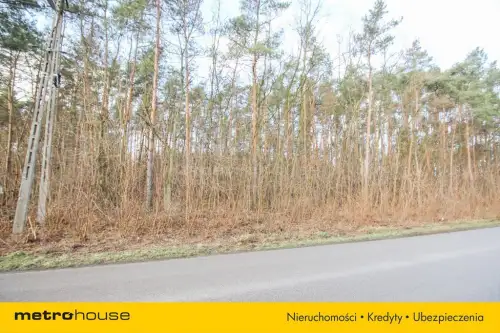 Stanisławów nowy   2