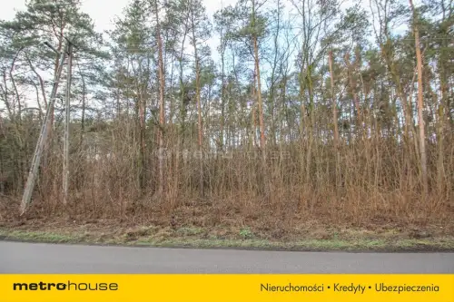 Stanisławów nowy   4