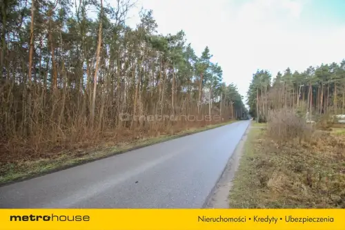 Stanisławów nowy   5