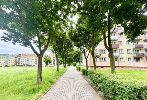 Głogów ,  Mieczysława Niedziałkowskiego   10