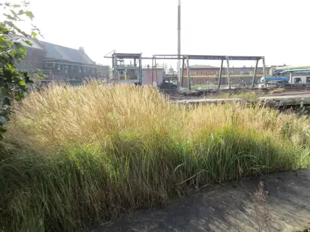 Bytom ,  Konstytucji   5