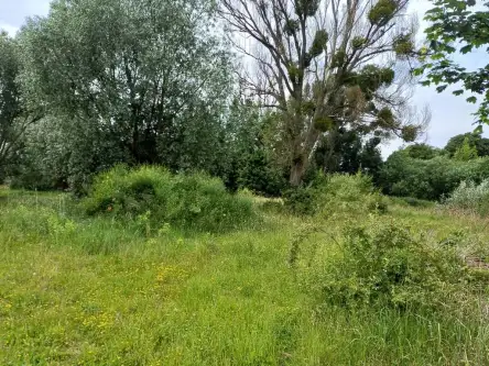 Malbork ,  Toruńska   6