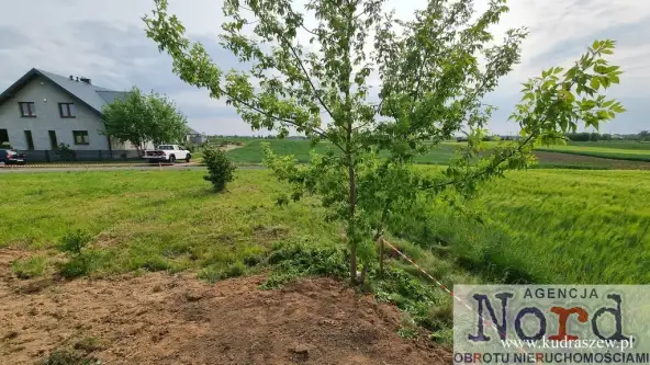 Augustów ,  Ziemiańska   6