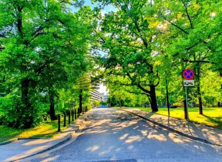 Warszawa ,  Wiejska   13