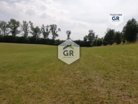 Dziemiany ,  Spacerowa   5