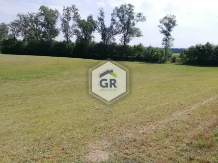 Dziemiany ,  Spacerowa   6