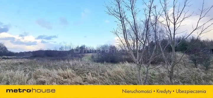 Osłonino ,  Nad gizdepką   10