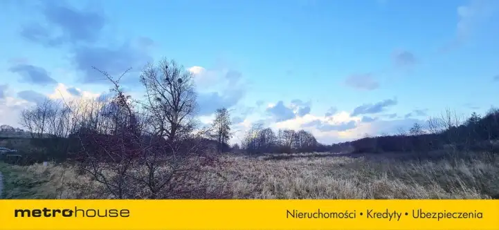 Osłonino ,  Nad gizdepką   11