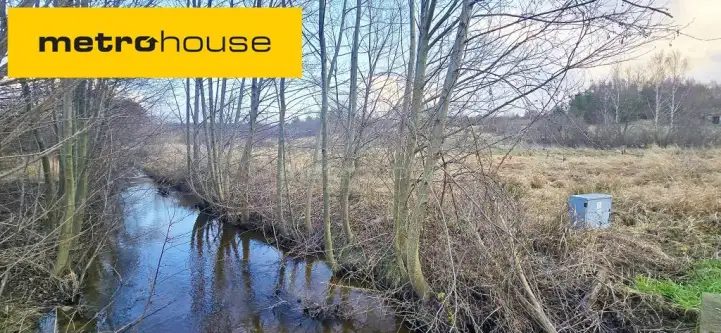  Osłonino   Nad gizdepką 