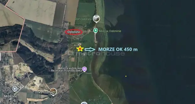 Osłonino ,  Nad gizdepką   3