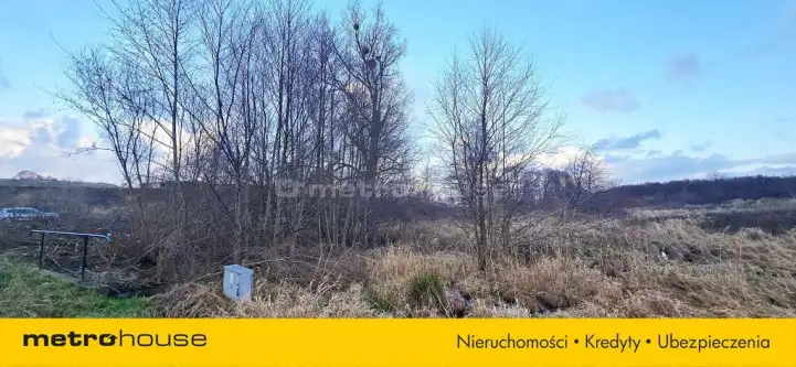 Osłonino ,  Nad gizdepką   5