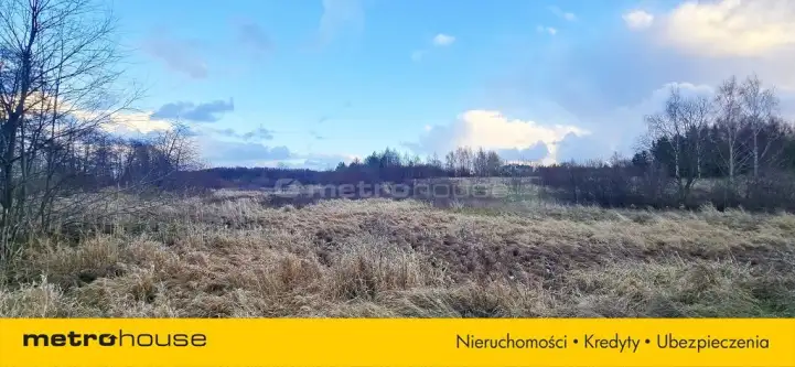 Osłonino ,  Nad gizdepką   6