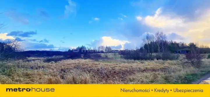 Osłonino ,  Nad gizdepką   7