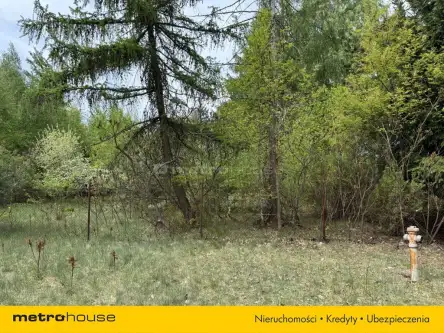 Aleksandrów łódzki ,  Ludwika Węgierskiego   4