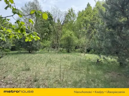 Aleksandrów łódzki ,  Ludwika Węgierskiego   5