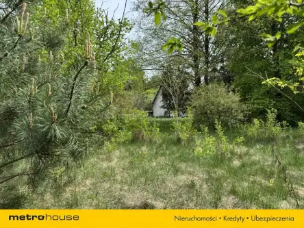 Aleksandrów łódzki ,  Ludwika Węgierskiego   6