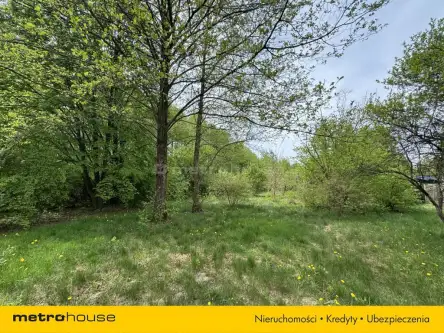 Aleksandrów łódzki ,  Ludwika Węgierskiego   8