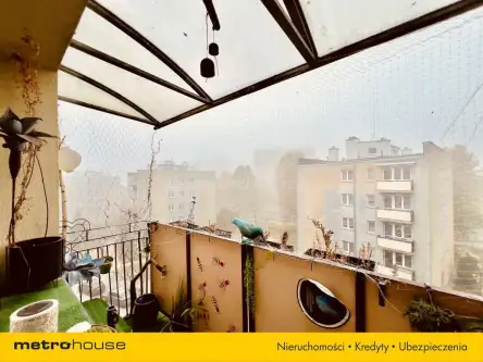 Elbląg ,  Dąbka   10