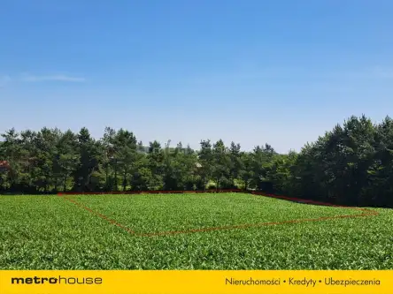 Mściów ,  Mściowska   2