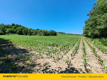 Mściów ,  Mściowska   3