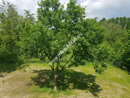 Terenia ,  www.mkwadrat.eu   19