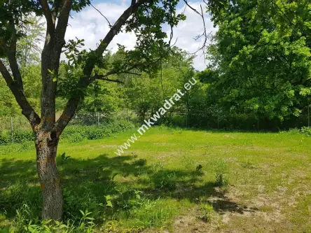 Terenia ,  www.mkwadrat.eu   9