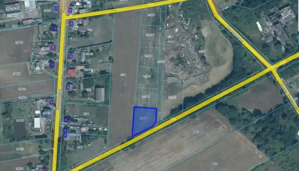 Trzcianka ,  Bolesława Krzywoustego   8