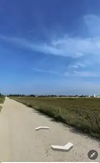 Mieroszyno ,  Sosnowa   3