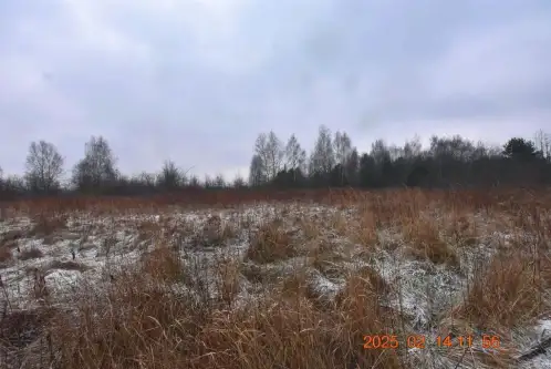 Wioska ,  Brzozowa   2