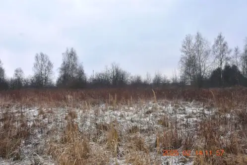 Wioska ,  Brzozowa   3