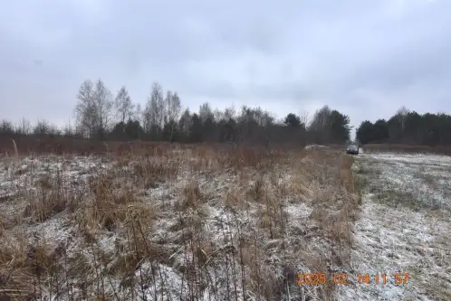 Wioska ,  Brzozowa   4