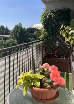 Kowale oleckie ,  Wspólna   9