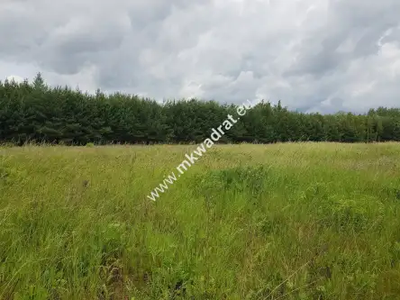  Jaktorów-kolonia   www.mkwadrat.eu 