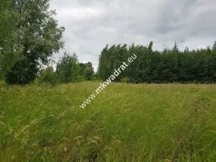 Jaktorów-kolonia ,  www.mkwadrat.eu   2