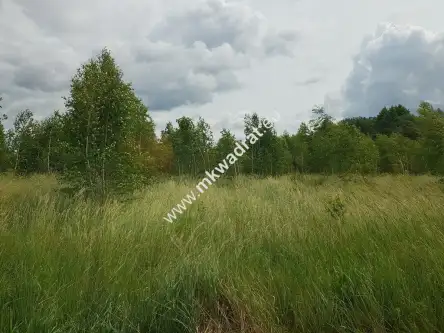 Jaktorów-kolonia ,  www.mkwadrat.eu   4