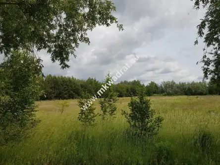 Jaktorów-kolonia ,  www.mkwadrat.eu   6