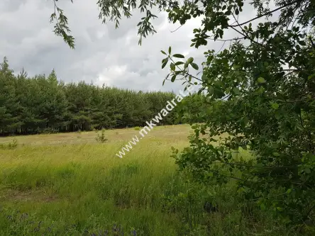 Jaktorów-kolonia ,  www.mkwadrat.eu   7