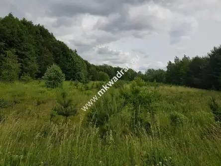 Jaktorów-kolonia ,  www.mkwadrat.eu   8