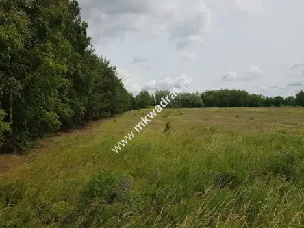 Jaktorów-kolonia ,  www.mkwadrat.eu   9