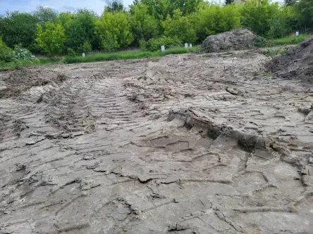 Warszawa ,  Zięby   2