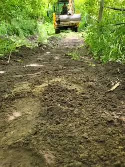 Warszawa ,  Zięby   3