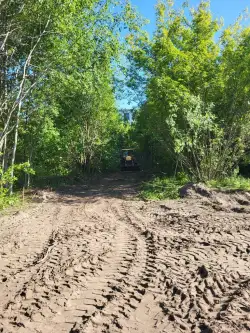 Warszawa ,  Zięby   4