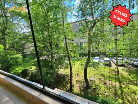 Kraków ,  Leonida Teligi   9