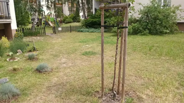 Warszawa ,  Perkuna   16