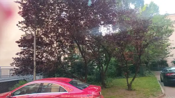 Warszawa ,  Ptasia   3