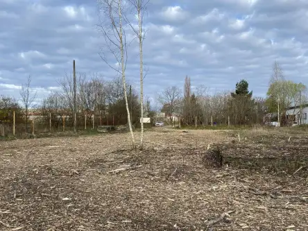 Rzeczyce ,  Piaskowa   5